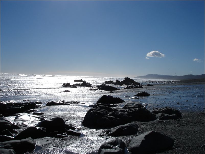 DSC01338_westcoast nach westport